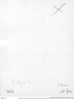 Historisches Foto (Rückseite) von Cracensigillatus acutirostris (Moericke, 1889) (NHMW-AFW-GEO-BACHMAYER-FOTO-1990-0041-1066a)